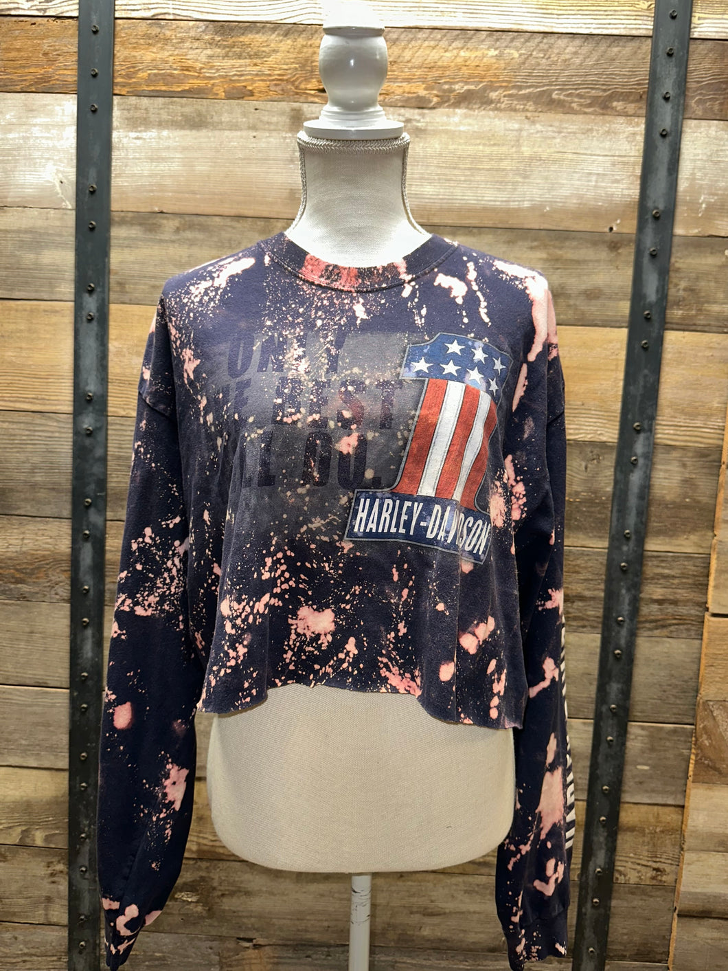 Vintage Route 43 Harley Long Sleeve Crop