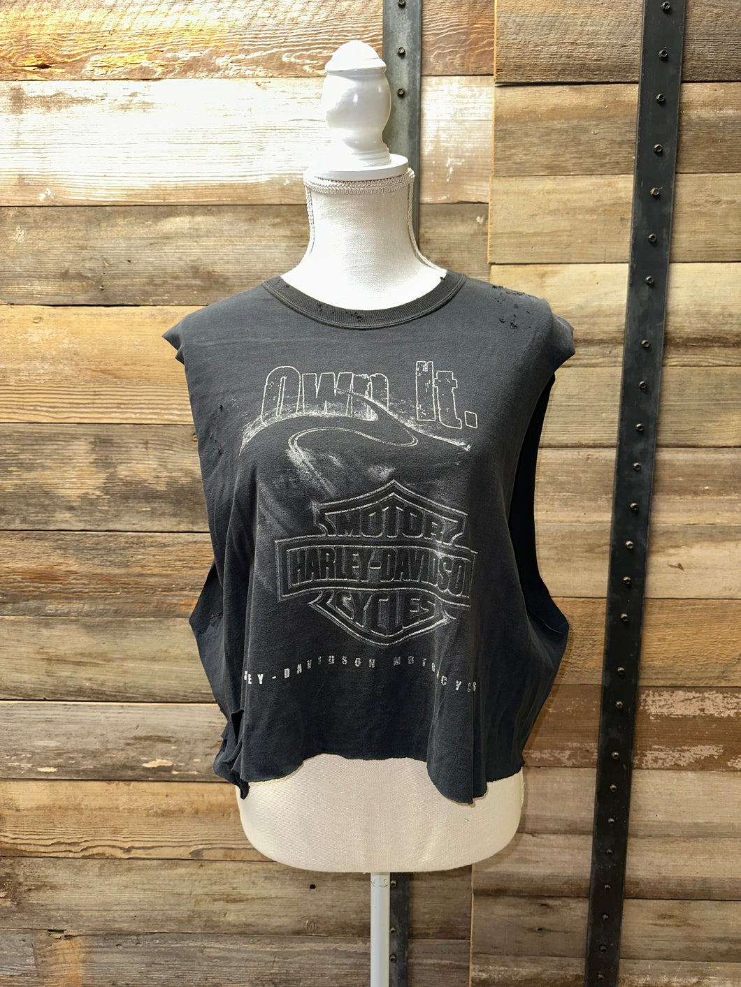 Vintage Hoosier Harley Cropped Tee