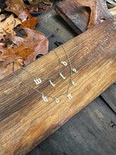 Load image into Gallery viewer, Wild Necklace • Stainless/Gold Plated