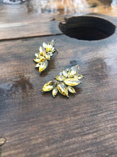 Load image into Gallery viewer, She Sparkles Earrings • Poppy